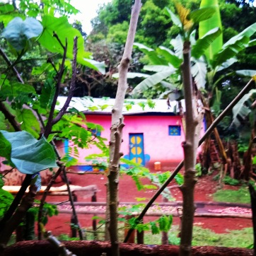 pink-house-forest-ethiopia-coffee-village-sera-james-irvine